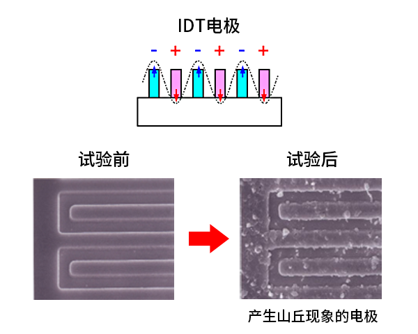 IDT电极